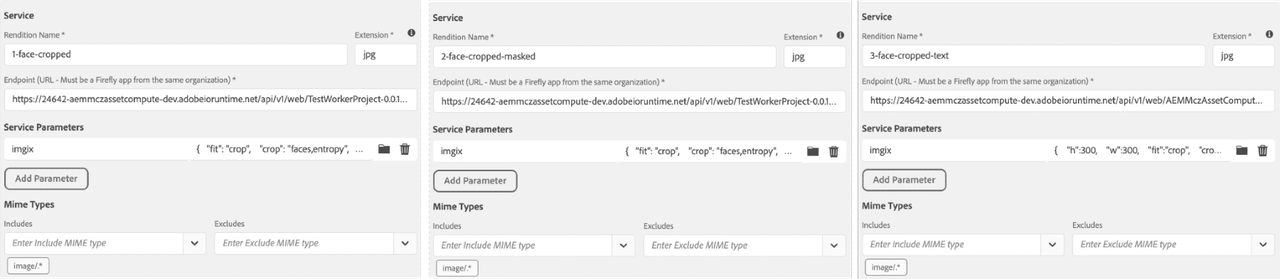 Config of custom renditions