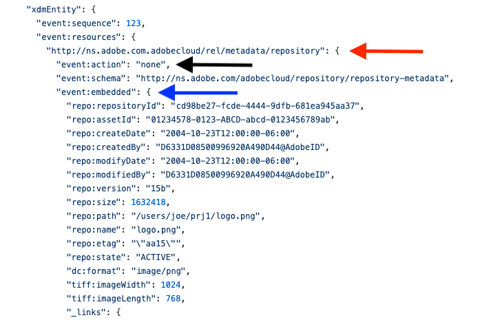 Repository Metadata object in JSON-formatted Asset Event