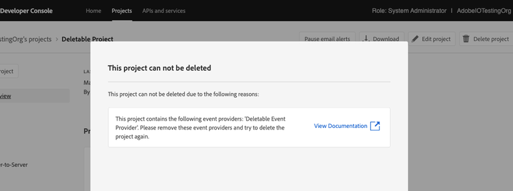 Error while deleting a project