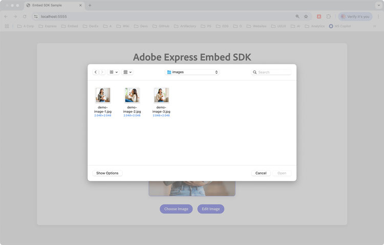 Embed SDK Edit Image choose image