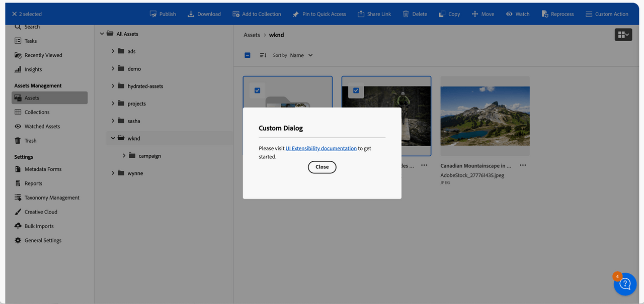 custom dialog