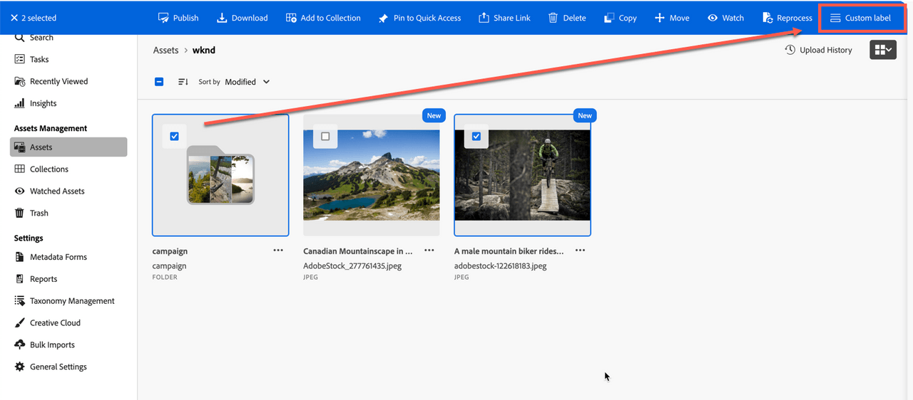 ActionBar actions