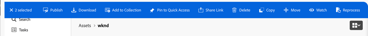 action bar
