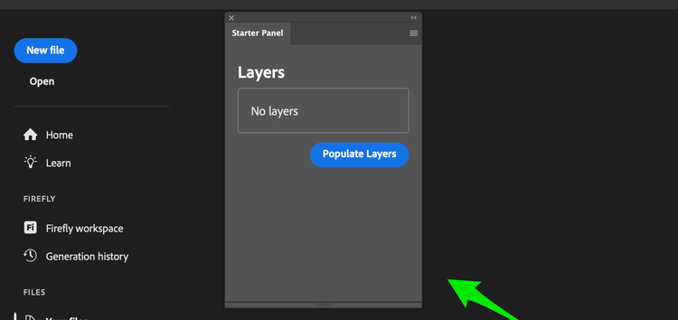 The scaffolded plugin panel loaded inside the host application